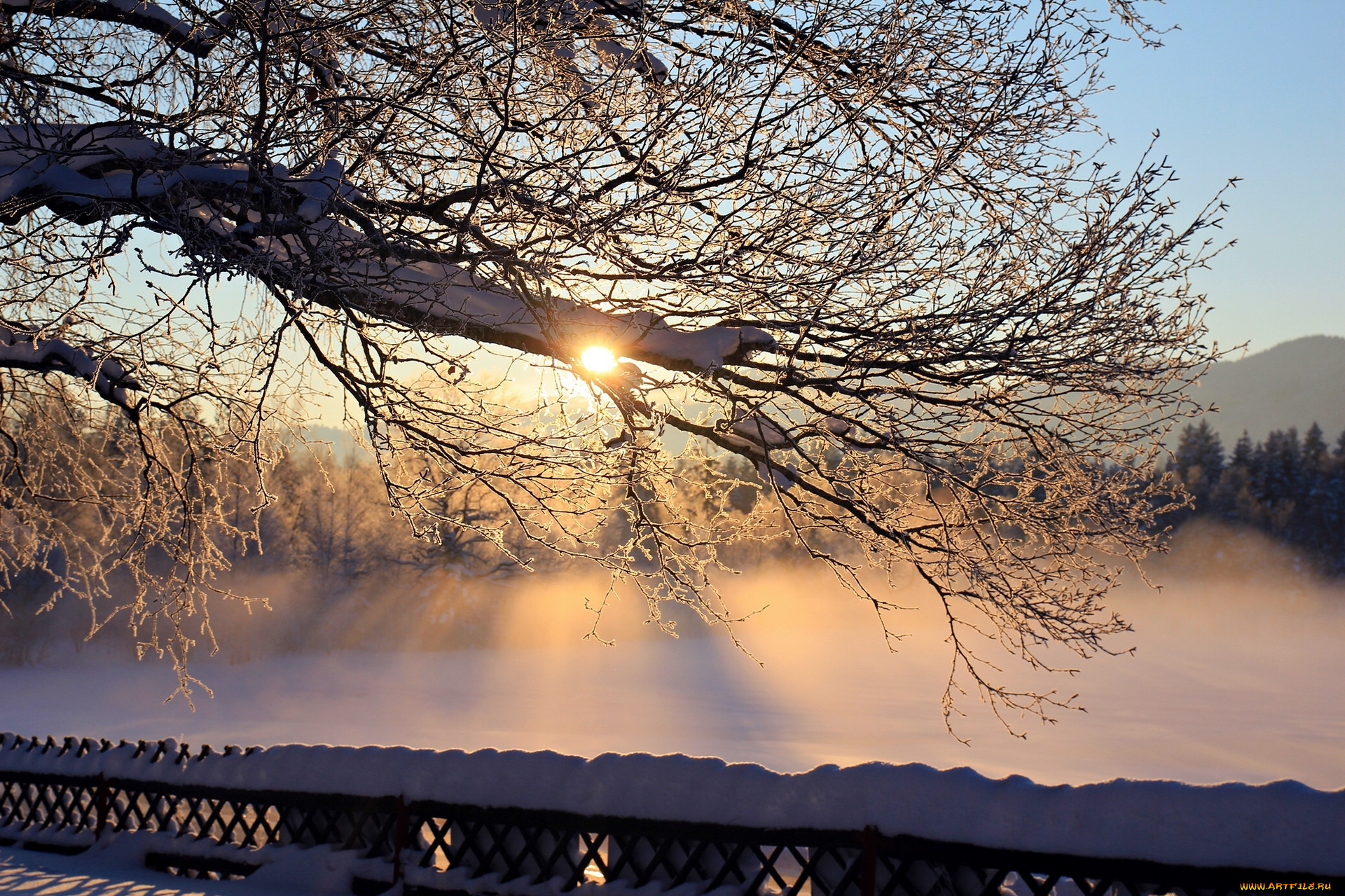 Утро природа февраль. Зима солнце. Ранняя зима и солнце.